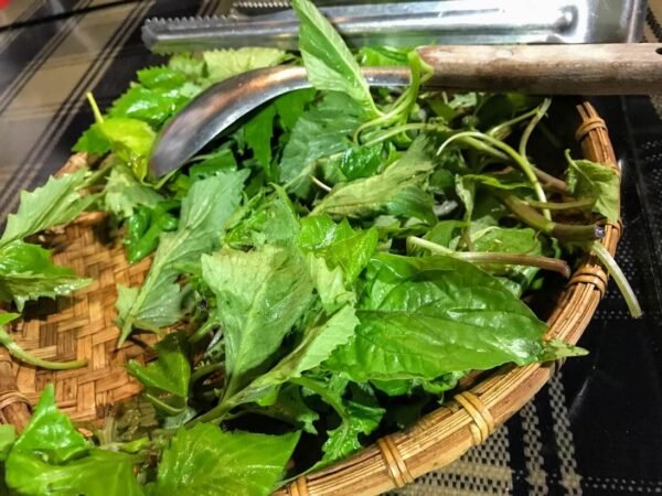 巴奇克竹坊野菜