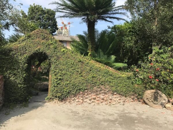 【花蓮光復】盛夏的軌跡-有小火車的懷舊民宿 1 IMG 1635 1