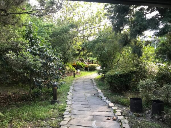 【花蓮光復】盛夏的軌跡-有小火車的懷舊民宿 2 盛夏的軌跡