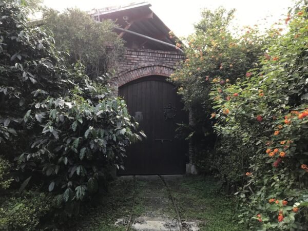 【花蓮光復】盛夏的軌跡-有小火車的懷舊民宿 8 盛夏的軌跡