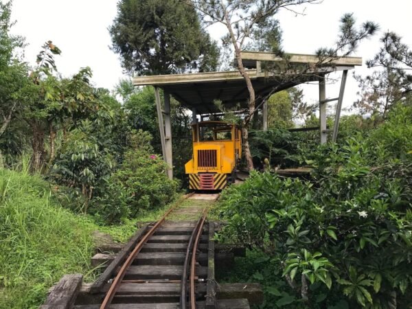 【花蓮光復】盛夏的軌跡-有小火車的懷舊民宿 14 盛夏的軌跡