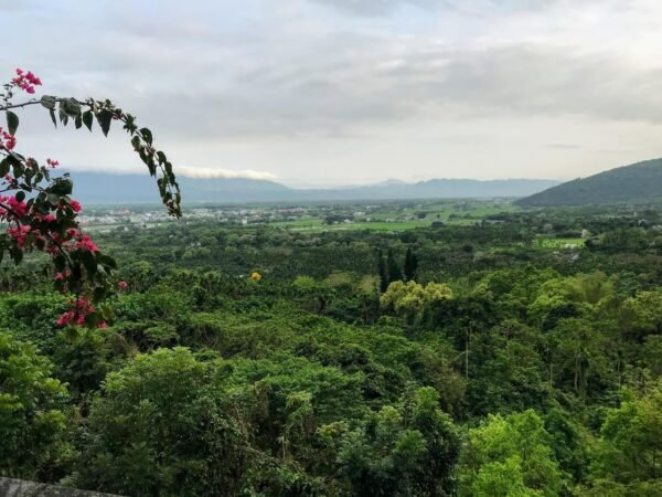【花蓮鳳林】遺忘的故鄉 月廬食堂 8 月廬食堂