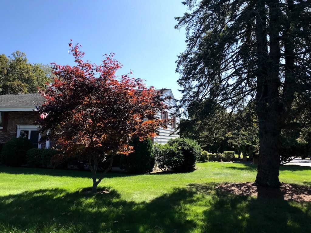 【美國】公路之旅-開車是最美的回憶(波士頓、紐約、羅德島) 9 美國