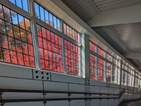 【日本】小諸城懷古園賞楓輕旅 7 PXL 20221107 032448120