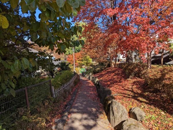 【日本】小諸城懷古園賞楓輕旅 12 小諸城紅葉