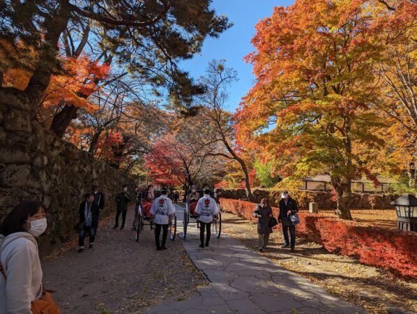 【日本】小諸城懷古園賞楓輕旅 1 小諸城紅葉