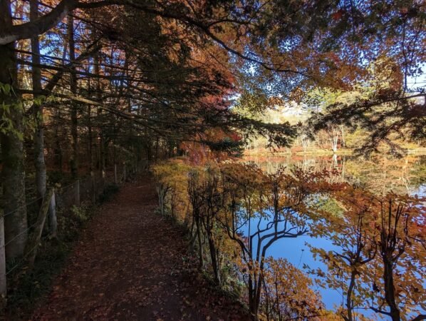 PXL 20221107 053854840