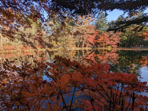 PXL 20221107 054005446