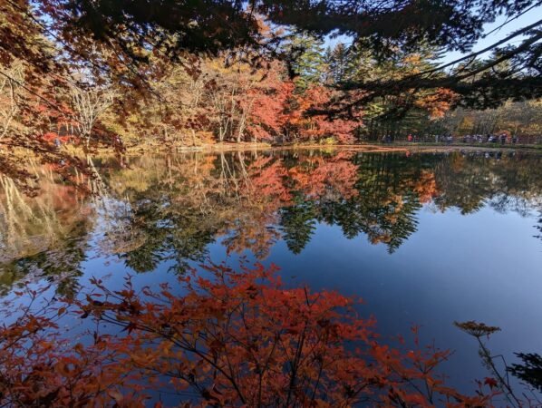 PXL 20221107 054009420