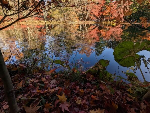 PXL 20221107 054026756