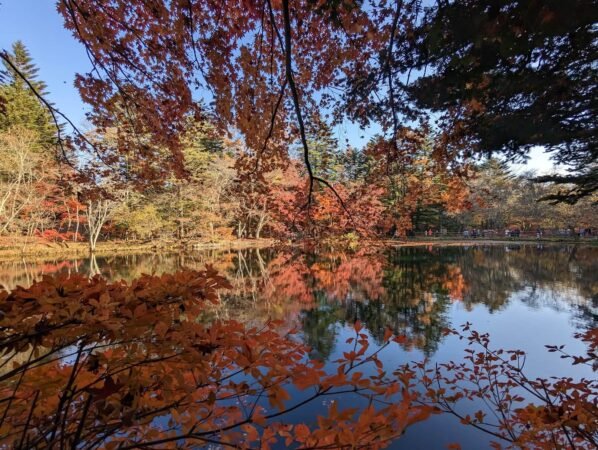 PXL 20221107 054036118