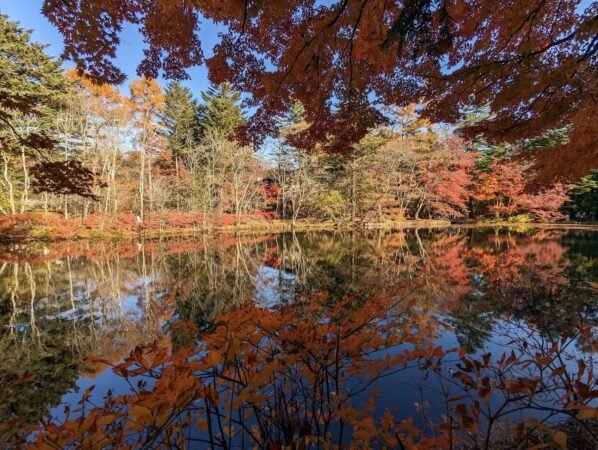 PXL 20221107 054105563