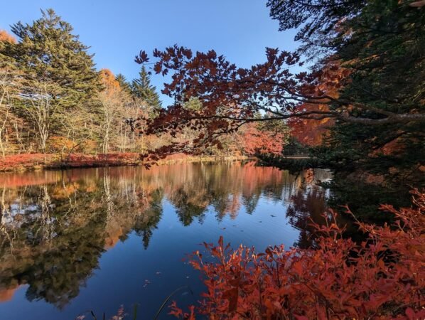 PXL 20221107 054316362