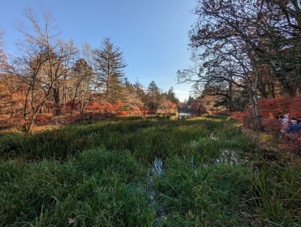 PXL 20221107 054921872