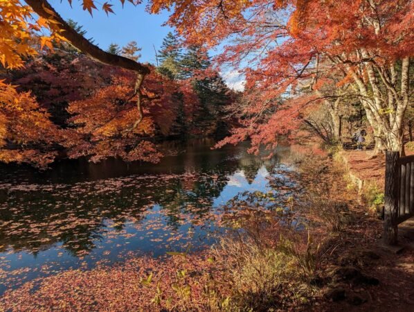 PXL 20221107 055530805