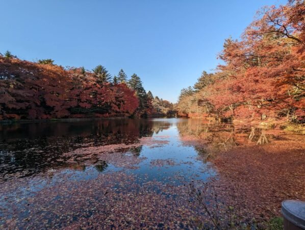 輕井澤雲場池