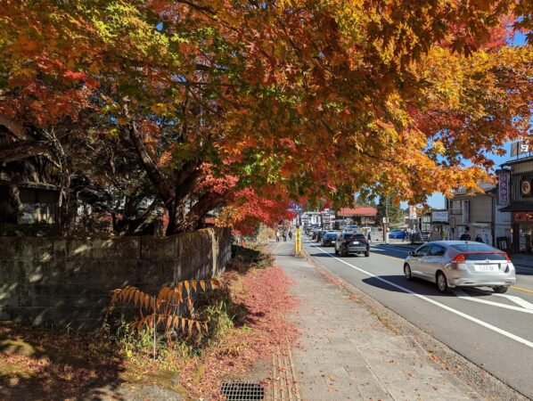 PXL 20221109 034026825