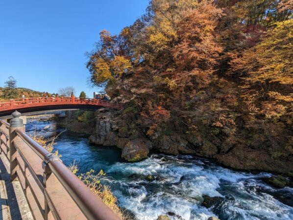 PXL 20221109 035814017