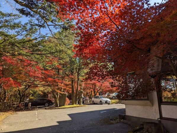 PXL 20221109 040742792