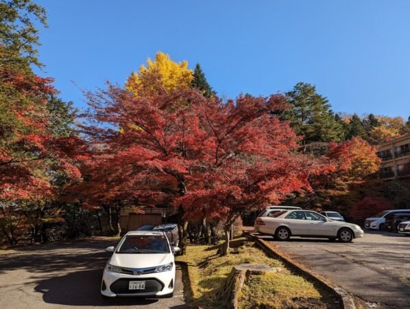 PXL 20221109 040828779