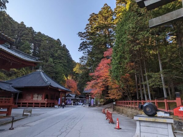 PXL 20221109 051320012