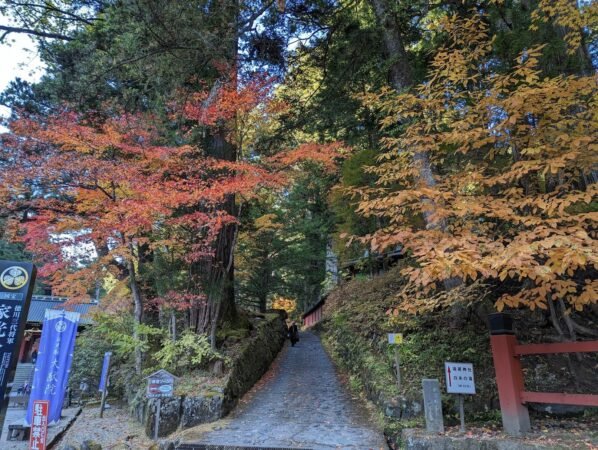 PXL 20221109 051500799