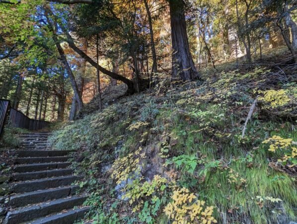 PXL 20221109 052440096