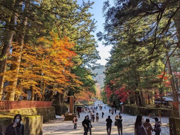 PXL 20221109 053937450