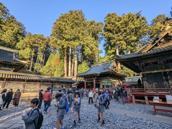 PXL 20221109 055050881