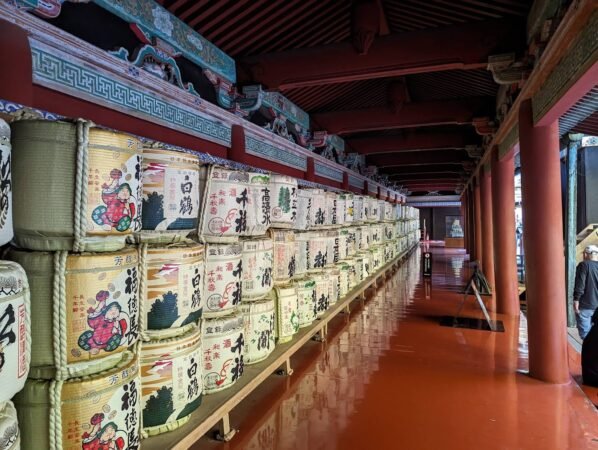 PXL 20221109 055223544