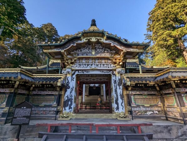 PXL 20221109 060258011