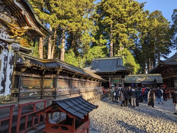 PXL 20221109 060416773