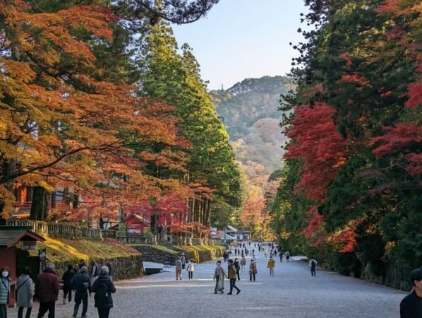 PXL 20221109 062312045