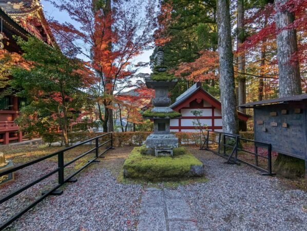 PXL 20221109 062620676