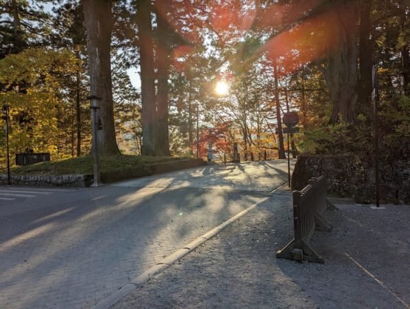 PXL 20221109 063014181