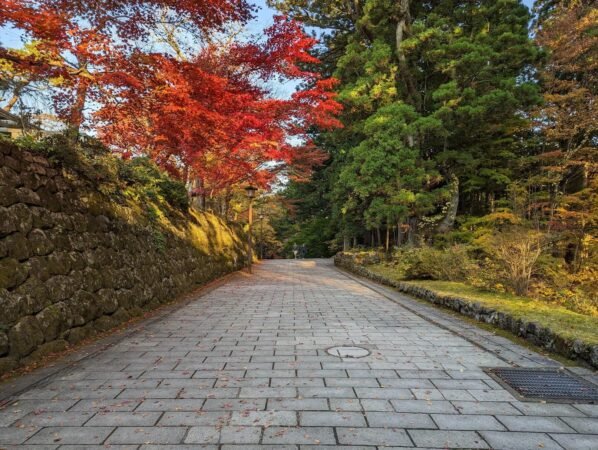 PXL 20221109 064118138