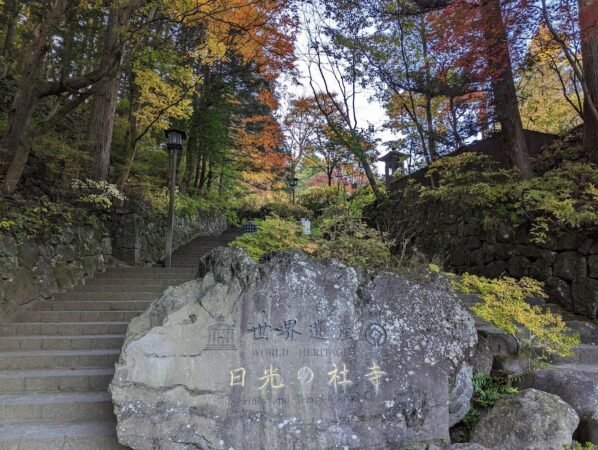 PXL 20221109 064502218