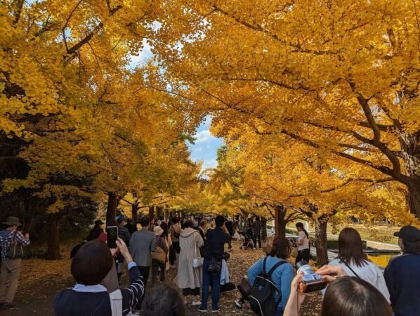 PXL 20221112 031420077 1