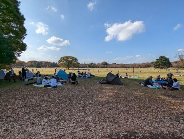 PXL 20221112 035601960