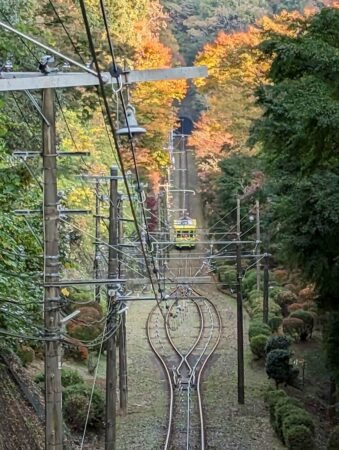 PXL 20221112 061019580