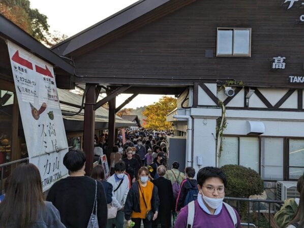 PXL 20221112 061502314