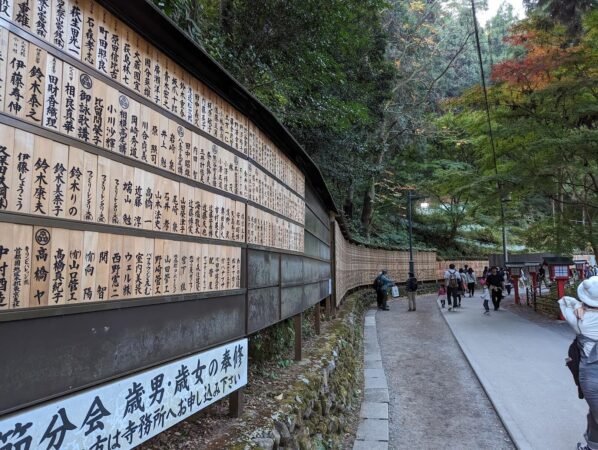 PXL 20221112 070812577