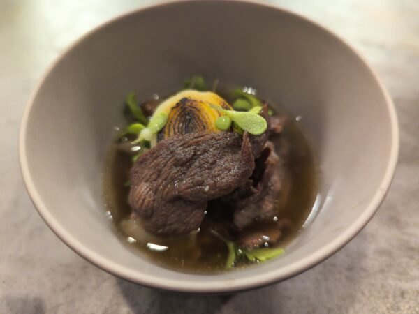 PXL 20230131 032627761