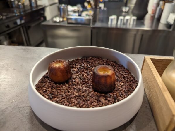 PXL 20230131 041803376