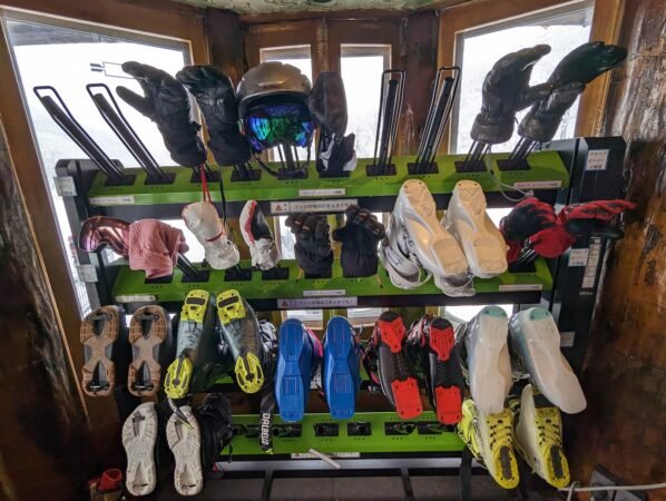 PXL 20230129 042526906