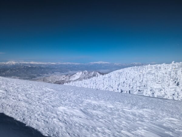 PXL 20230130 014436784