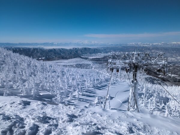 PXL 20230130 014639530