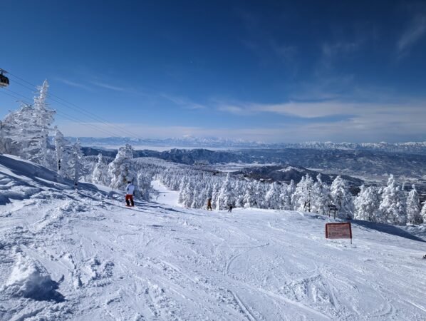 PXL 20230130 022517489