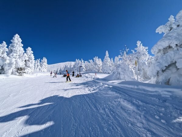 PXL 20230130 023028361