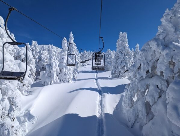 PXL 20230130 023757624